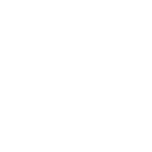 Adult Swim ao vivo