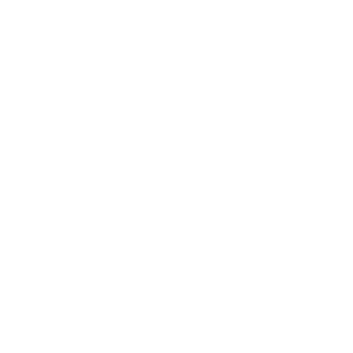 Discovery H&H ao vivo